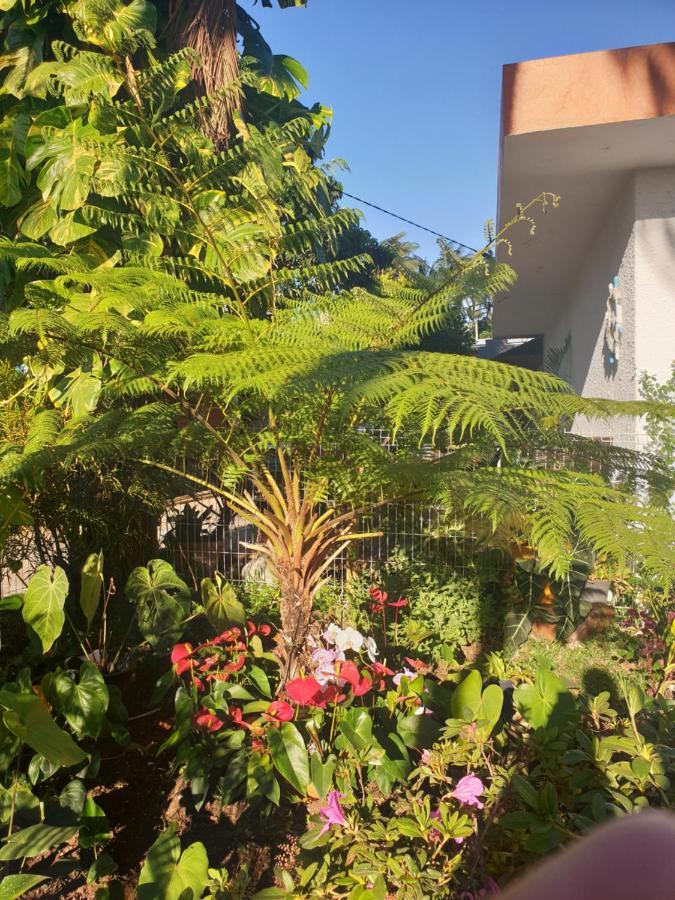 Couleurs Des Iles Appartement Le Tampon Buitenkant foto